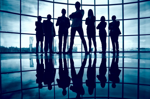 Professional legal team